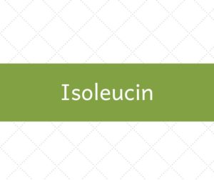 isoleucin